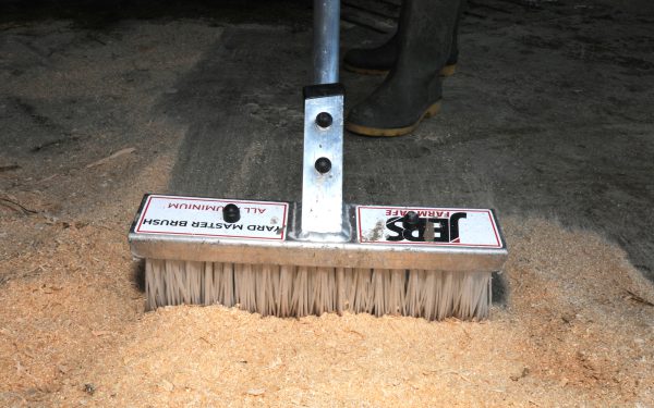 Yard Brush / Wet Area Brush